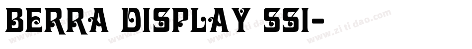 Berra Display SSi字体转换